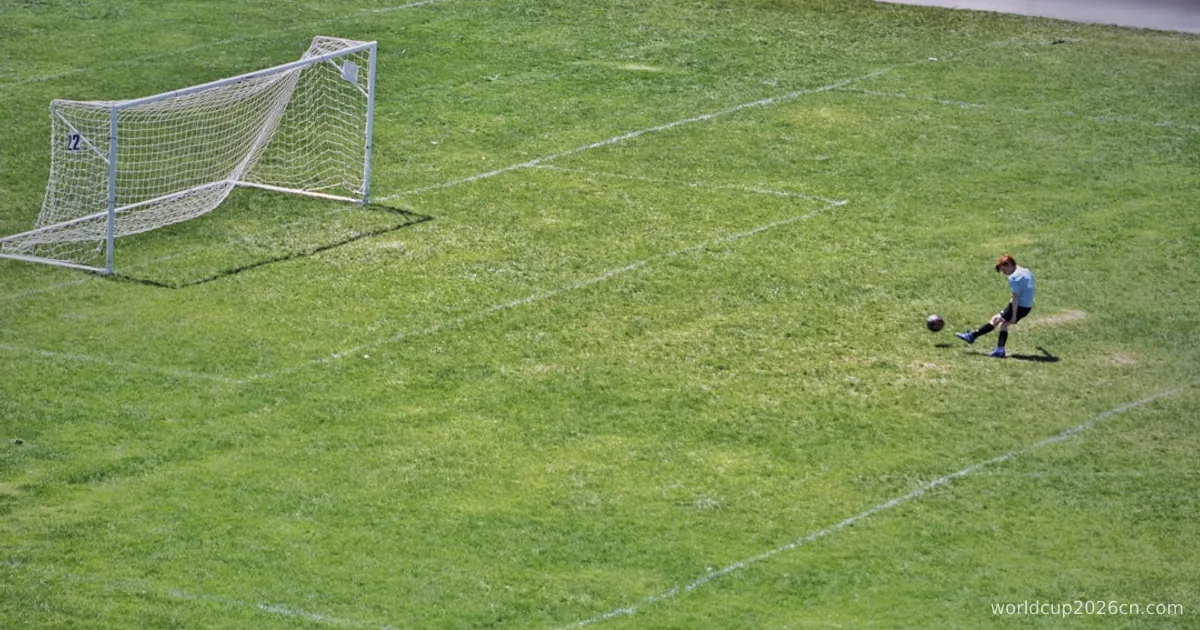 person kicking ball near white goalpost